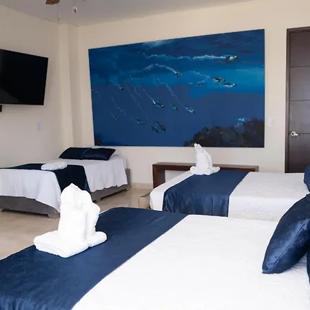 Exclusiva Junto Al Mar En
